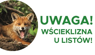 Ikona do artykułu: Kolejne przypadki wścieklizny u lisów wolno żyjących na terenie województwa mazowieckiego